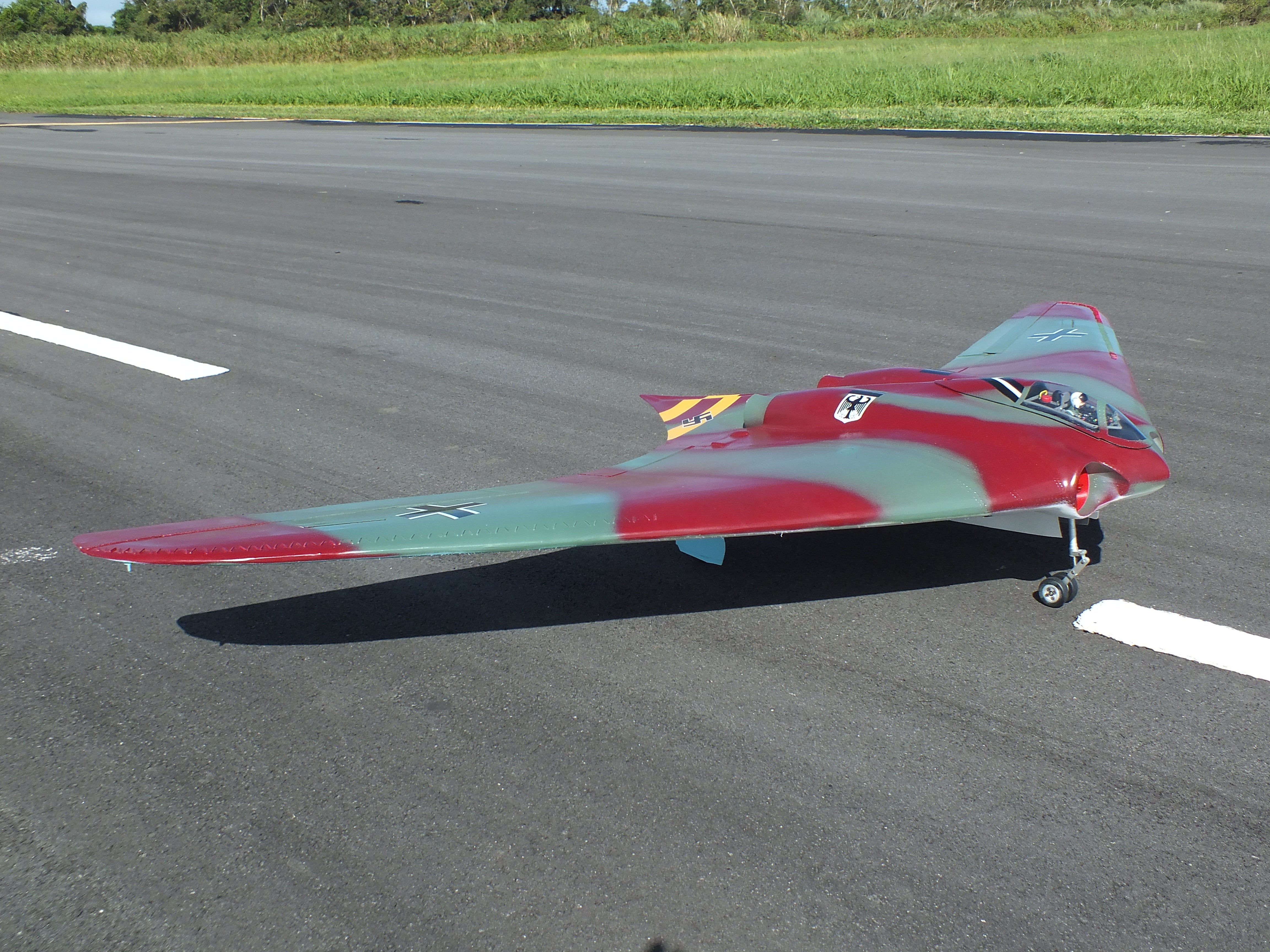 Rc horten store ho 229